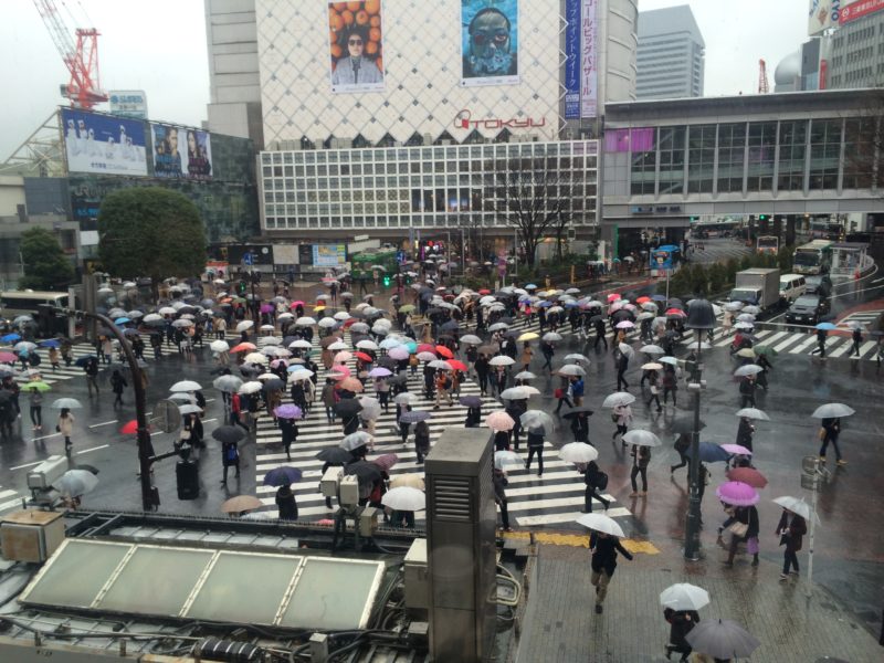 Shibuya crossing