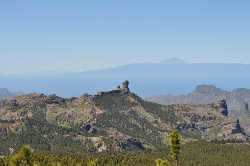 View from Pico De Las Nieves